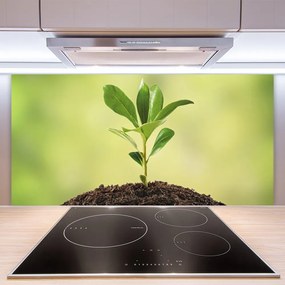 Pannello cucina paraschizzi Crescita delle piante di terra 100x50 cm