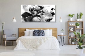 Stampa su tela – Magica armonia di pietre e orchidee in bianco e nero