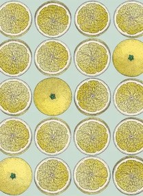 Fornasetti Früchte-Tapete Arance von Cole and Son - Lemon