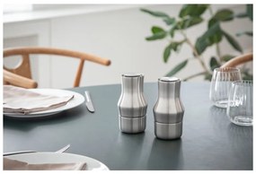 Macinatore da cucina color argento opaco in acciaio inox Dorotea – Gense