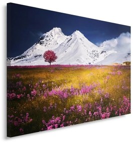 Quadro su tela, Montagna Paesaggio Natura  Dimensioni Tappeti 100x70