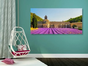 Stampa su tela – Provenza con campi di lavanda