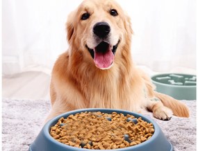 Ciotola Slow Food Per Cani e Gatti Diametro 24cm Altezza 6,5cm Capacità 1 Litro Colore Assortito