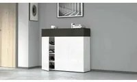 Scarpiera Dcanestrell, Porta scarpe salvaspazio a 4 ante, Armadio multifunzione da ingresso, 114x38h100 cm, Bianco e Ardesia