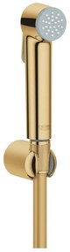 GROHE 27513GL1 - Doccetta per bidet a mano TEMPESTA-F 1250 mm oro