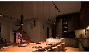 Philips - Lampadario LED RGB dimmerabile per binario Hue PERIFO LED RGB/5,2W/24V