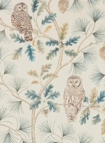 Eulen Tapete Owlswick von Sanderson - Teal