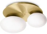 Plafoniera Contemporanea Ninfea Metallo Ottone 2 Luci Gx53 9W 3000K Luce Calda