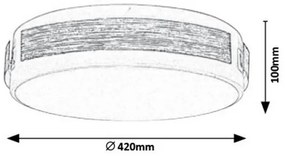 Rabalux 5646 - Plafoniera LED dimmerabile SALMA LED/24W/230V