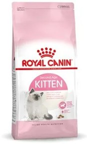 Cibo per gatti Royal Canin Kitten Riso Uccelli 2 Kg