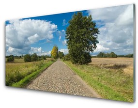 Quadro acrilico Paesaggio della pavimentazione stradale del villaggio 100x50 cm