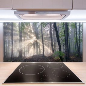 Pannello paraschizzi cucina Alberi della natura della foresta 100x50 cm