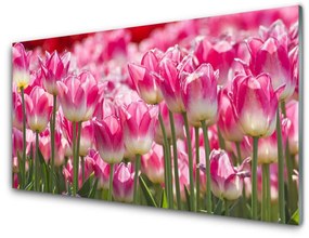 Pannello cucina paraschizzi Tulipani, fiori, natura 100x50 cm