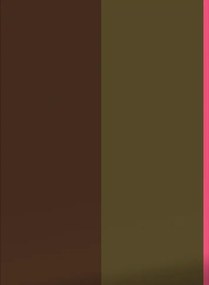 KEK Amsterdam Carta da parati Bold Stripes 1 Uyterlinde - FU-009