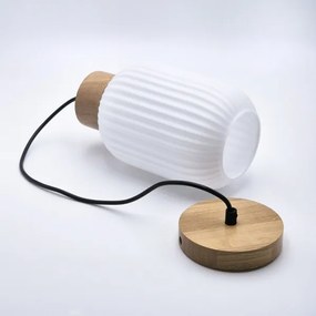 Lampadario a sospensione con filo HARMONY 1xE27/15W/230V diametro 14 cm bianco/quercia