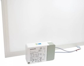 Pannello LED 60x60 45W da incasso Rosa Banco Carni con driver Philips Colore Rosa Alimentare