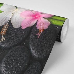 Carta da parati – Natura morta wellness