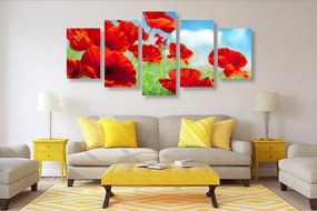Quadri 5 pezzi – Fiori di papavero nel prato