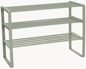 Scarpiera Rex