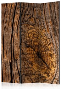 Paravento Albero Antico (3-parti) - composizione marrone con texture di legno