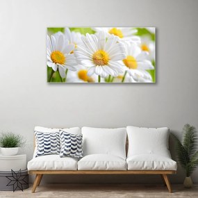 Quadro in vetro Pianta naturale margherita 100x50 cm