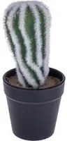 Set 4 Cactus Artificiale con Vaso Altezza 20 cm