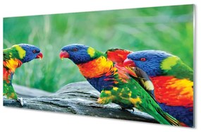 Quadro acrilico Albero di pappagalli colorati 100x50 cm