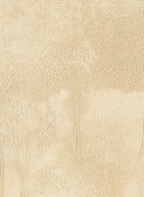 Élitis Carta da parati Agrigente - VP 960 14