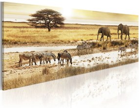 Quadro Africa: al foro di irrigazione