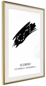 Poster  Zodiac: Scorpio I  Cornice Quadri Cornice d'oro con passe-partout, Larghezza x Altezza Home decor 20x30