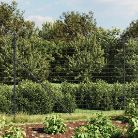 Recinzione Metallica Con Picchetti Ancoraggio Antracite 2,2x10m /