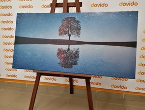 Stampa su tela – Cielo stellato sopra un albero solitario