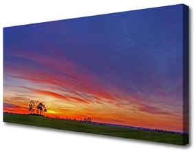 Stampa quadro su tela Paesaggio del campo degli alberi della natura 100x50 cm
