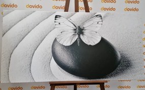 Quadro su tela – Pietra Zen con farfalla in bianco e nero