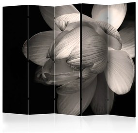 Paravento design Fiore di loto II (5 części) - czarno-biała kompozycja z magnolią