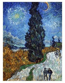 Riproduzione pittorica 45x60 cm Vincent van Gogh - Country road in Provence by night - Fedkolor