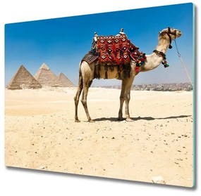 Tagliere in vetro Un cammello al Cairo 60x52 cm