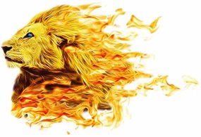 Carta da parati – Leone infuocato