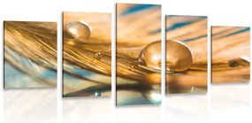 Quadri 5 pezzi – Goccia d'acqua su piuma dorata