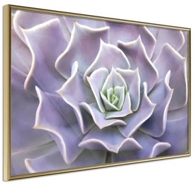 Poster  Like a Flower  Cornice Quadri Cornice d'oro, Larghezza x Altezza Home decor 30x20