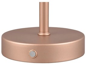 Lampada da tavolo dimmerabile a LED in rame (altezza 30 cm) Jeff - Trio