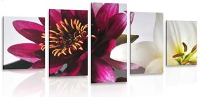 Quadri 5 pezzi – Fiori in ciotola