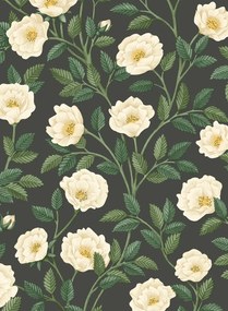 Cole & Son Carta da parati Hampton Roses - 118/7016