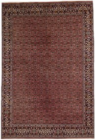 Bidjar Tappeto 200 x 290 (Iran)