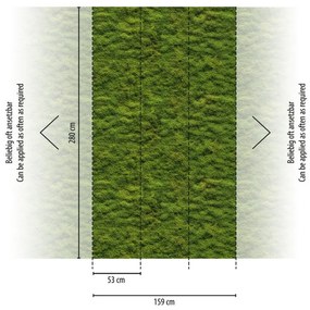 Fotomurale Moss, multicolore 159 x 280 cm