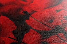 Quadro su tela – Campo di papaveri selvatici
