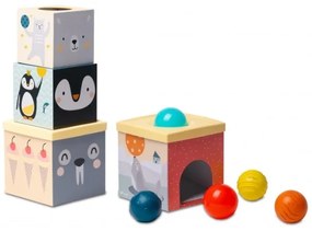 Taf Toys - Set di giochi interattivi Polo Nord