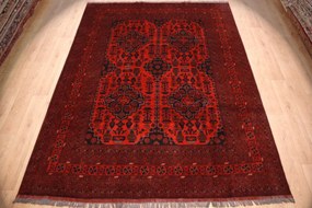 Afghan Tappeto orientale 250x350 (Afghanistan) Annodato A Mano