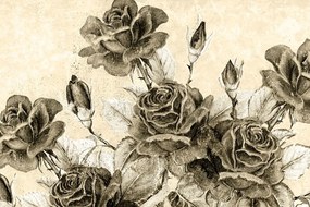 Stampa su tela – Bouquet vintage di rose in versione seppia