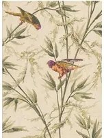 Little Greene Tapete Great Ormond Street - Stable